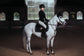 Equestrian Stockholm Jump Saddle Pad Black Edition for ponies