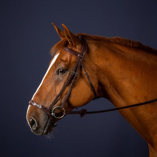 Adjustable drop noseband