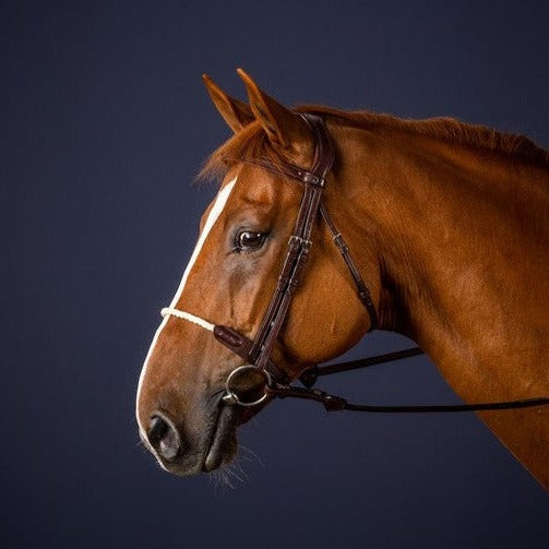 Rope Noseband bridle