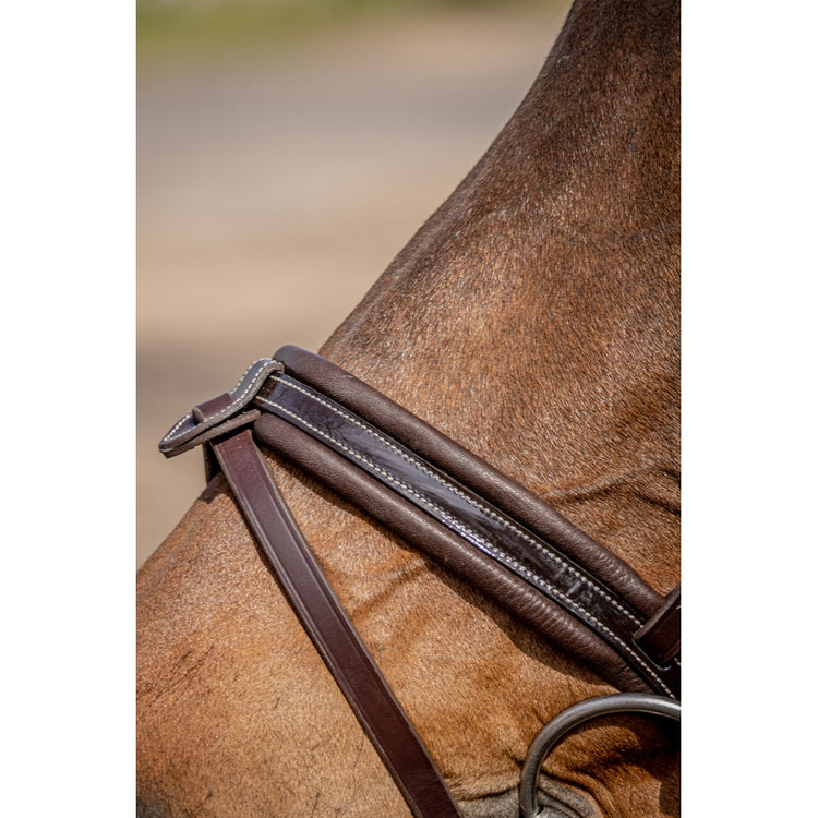 anatomic padded leather bridle