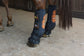 Magnetic Horse Boots