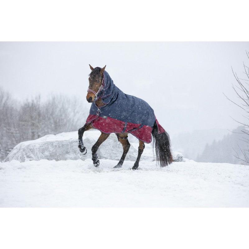 turnout rug with tail flap