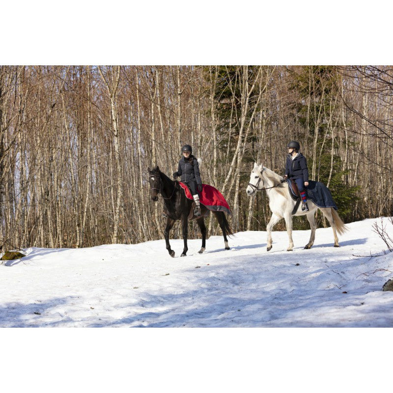 Winter exercise sheet for riding in snow