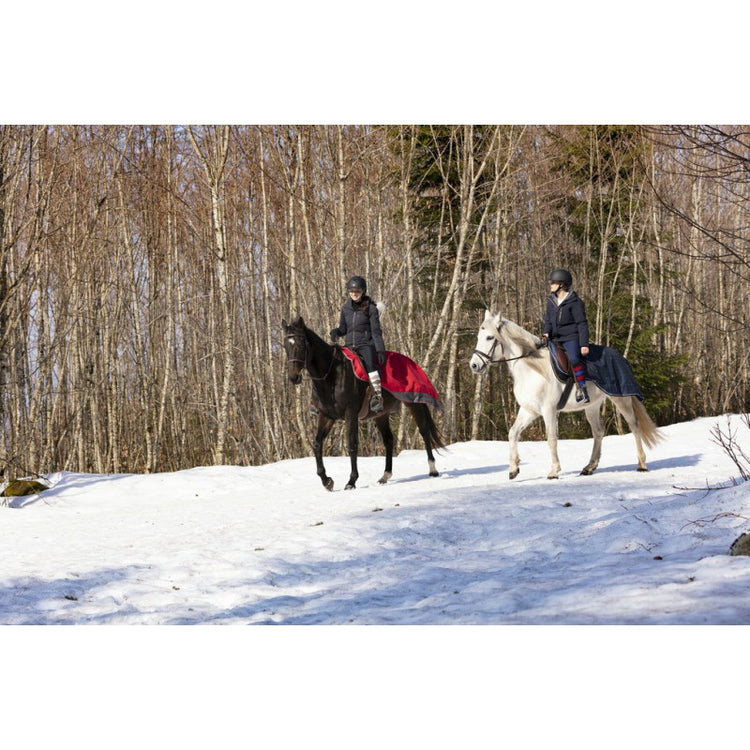 Winter exercise sheet for riding in snow