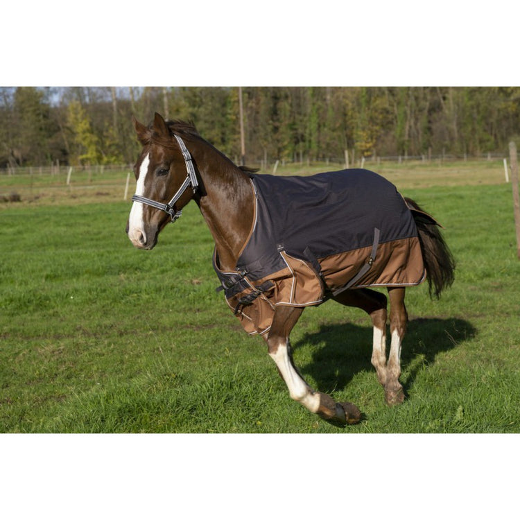 turnout rug with brown details