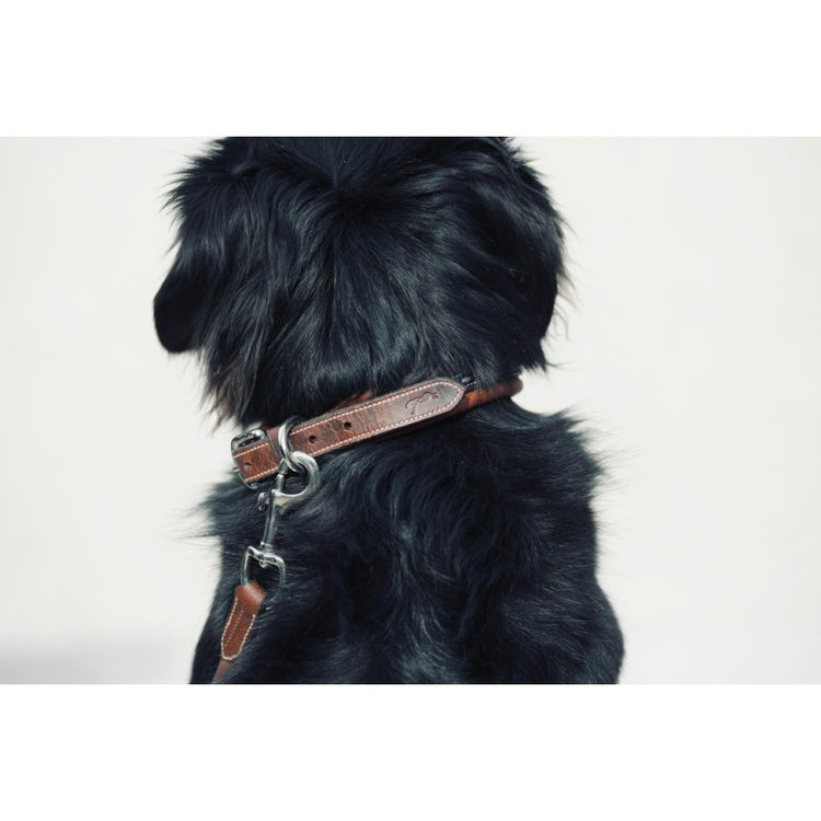 Brown leather dog collar 